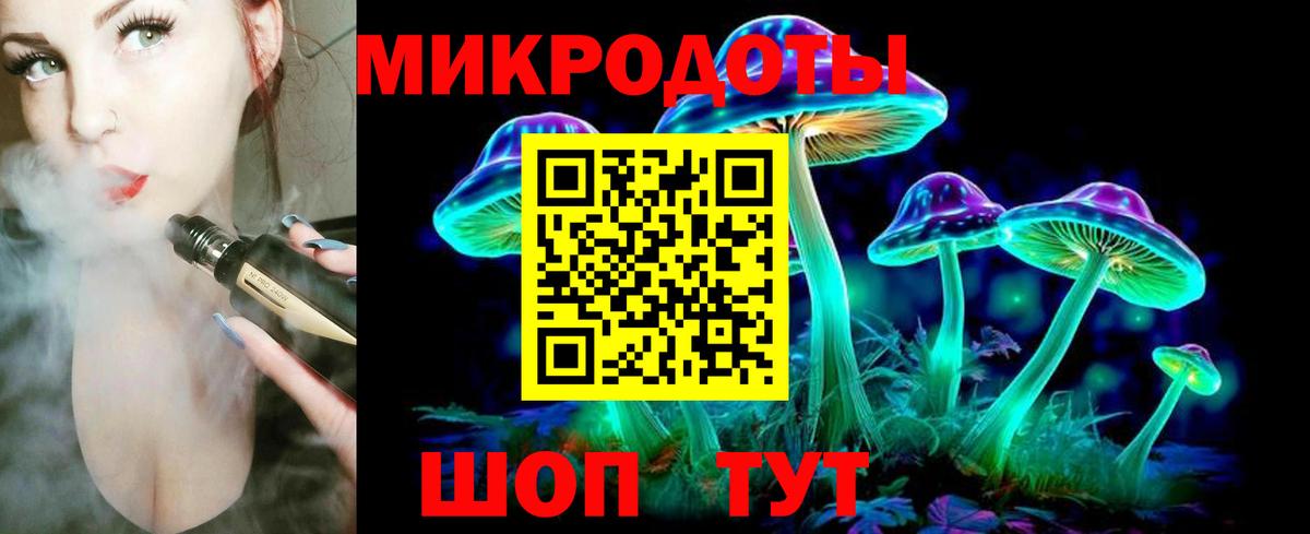 Галлюциногенные грибы Psilocybine cubensis Сызрань